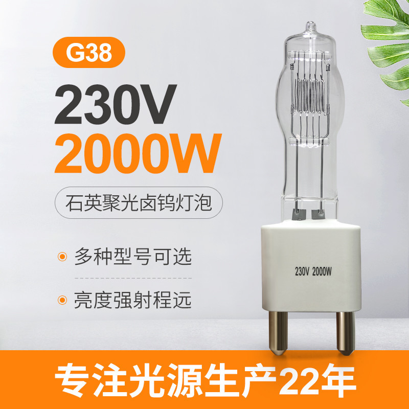 230v 2000w G38 Quartz Halogen Globes Bola Lampu Tungsten