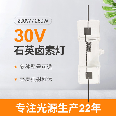 30V 200W Tampilan Halogen Kecil Lampu Optik 250W Quartz Halogen Bulb
