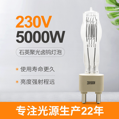 230V 5000W G38 ​​Stage Quartz Lamp Bulb Studio Entertainment Wedding Bar